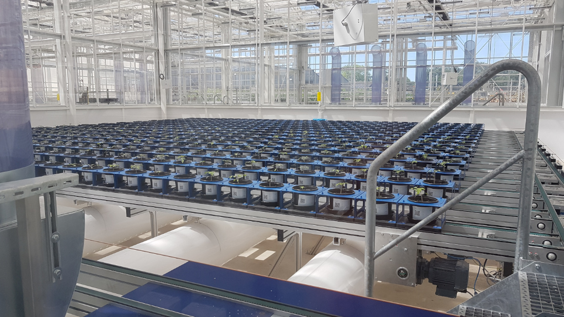 PLANtAR second half year Meeting